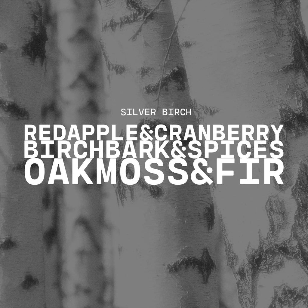 Silver Birch Candle - 22 oz